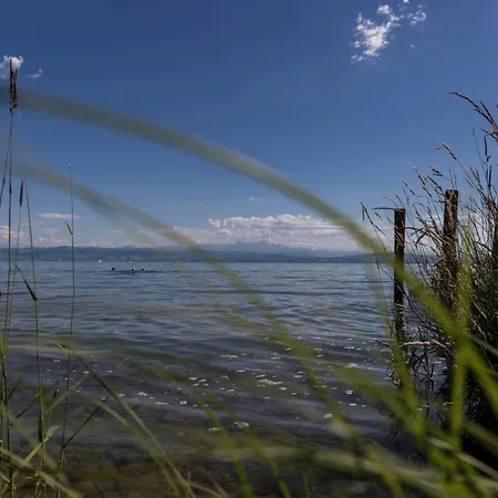 Lakefront - Living With Style - Direkt Am Bodensee Mit Atemberaubendem Panoramablick Auf Den Bodensee Und Die Alpen * فريدريشسهافن